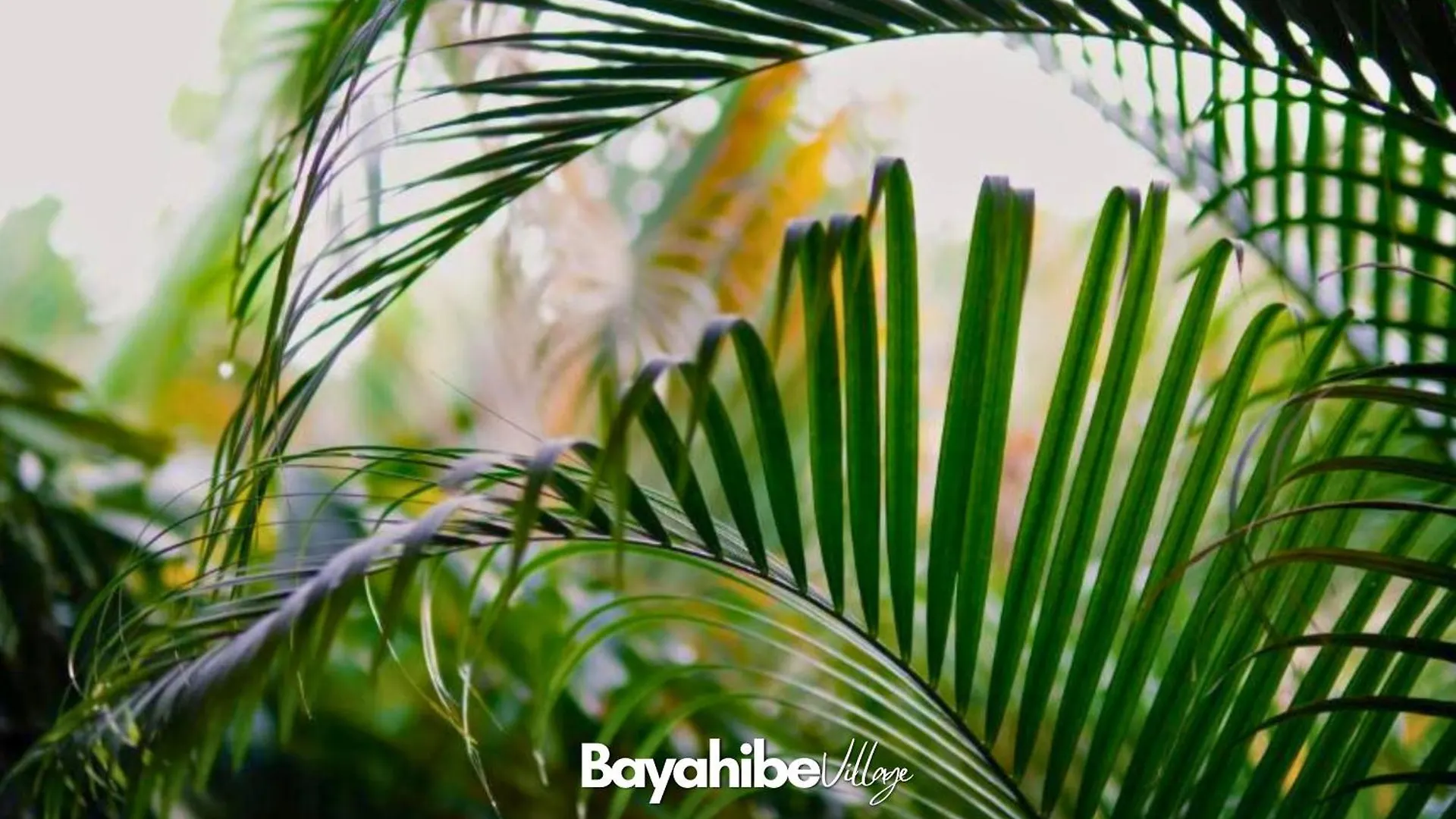 Apartamento Bayahibe Village Inn